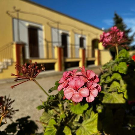 Agriturismo Il Trappeto Gallipoli Exterior photo